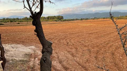 Country house zum Verkauf in Plaça Poligono 02, 785, Useras / Les Useres, Castellón - Bild 5 Foto 5 von Country house zum Verkauf in Plaça Poligono 02, 785, Useras / Les Useres, Castellón