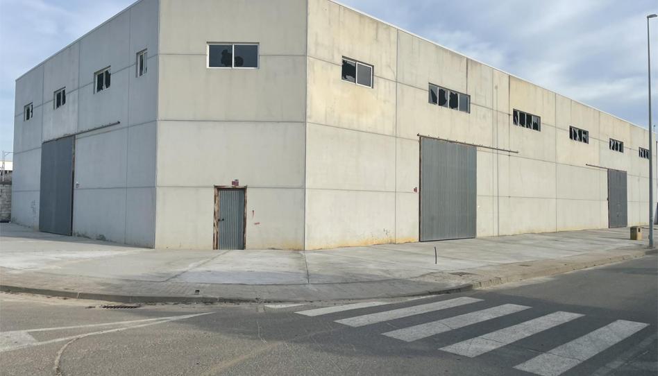 Industrial buildings to rent in Plaza Industrial Los Pinos, 50, Mazagón, Huelva - image 1 Photo 1 of Industrial buildings to rent in Plaza Industrial Los Pinos, 50, Mazagón, Huelva