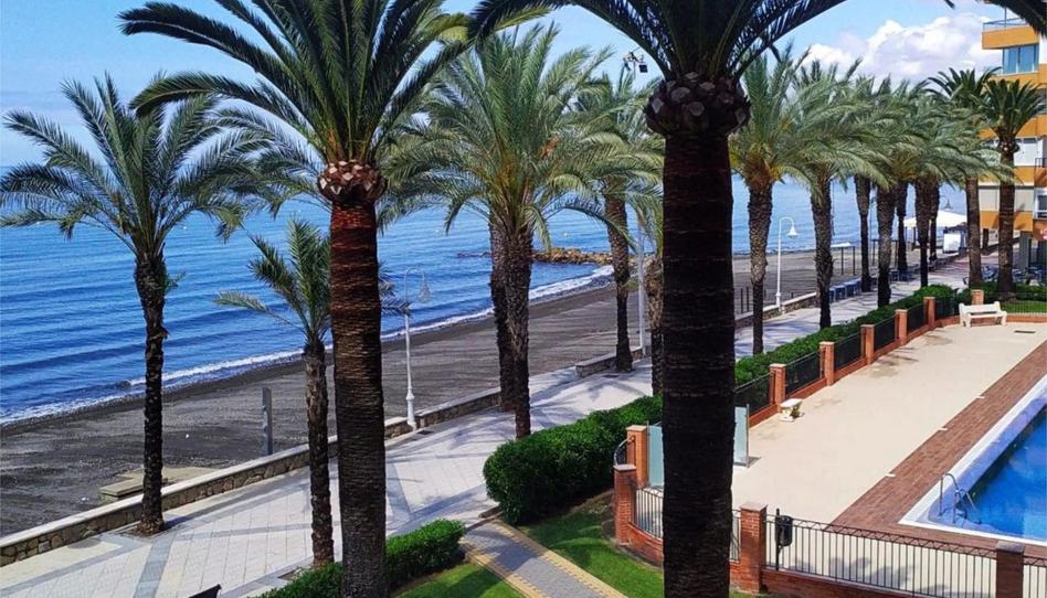 Flat to rent in Urbanizacion al C.int.bau Hoffmann, 72, Algarrobo Costa, Málaga - image 1 Photo 1 of Flat to rent in Urbanizacion al C.int.bau Hoffmann, 72, Algarrobo Costa, Málaga