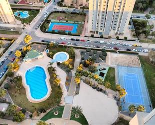 Swimming pool of Flat to rent in Benidorm  with Swimming Pool