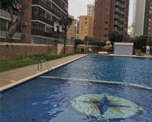Swimming pool of Flat to rent in Benidorm  with Terrace and Swimming Pool