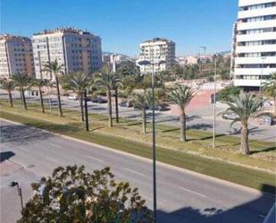 Flat to rent in  Murcia Capital