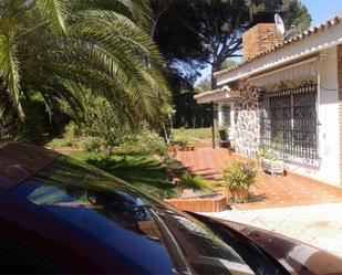 Jardí de Casa o xalet en venda en Palos de la Frontera amb Aire condicionat, Terrassa i Piscina