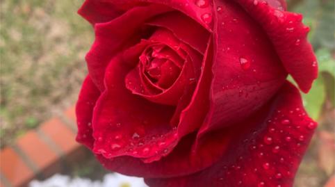 Piso en venta en Carretera Palos Rábida, 3, Palos de la Frontera, Huelva - imagen 2 Foto 2 de Piso en venta en Carretera Palos Rábida, 3, Palos de la Frontera, Huelva