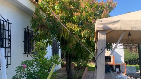 Piso en venta en Carretera Palos Rábida, 3, Palos de la Frontera, Huelva - imagen 3 Foto 3 de Piso en venta en Carretera Palos Rábida, 3, Palos de la Frontera, Huelva