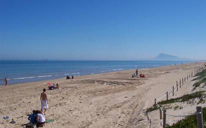 Planta baja en alquiler en oliva playa