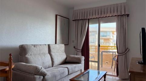 Apartament de lloguer a Avenida de Francia, 4, Mil Palmeras, Pilar de la Horadada - imatge 4 Foto 4 de Apartament de lloguer a Avenida de Francia, 4, Mil Palmeras, Pilar de la Horadada