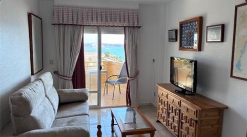 Apartament de lloguer a Avenida de Francia, 4, Mil Palmeras, Pilar de la Horadada - imatge 5 Foto 5 de Apartament de lloguer a Avenida de Francia, 4, Mil Palmeras, Pilar de la Horadada