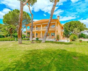 Jardí de Casa o xalet en venda en Fuente El Saz de Jarama amb Aire condicionat, Terrassa i Piscina