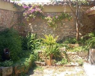Garden of House or chalet to rent in Les Coves de Vinromà