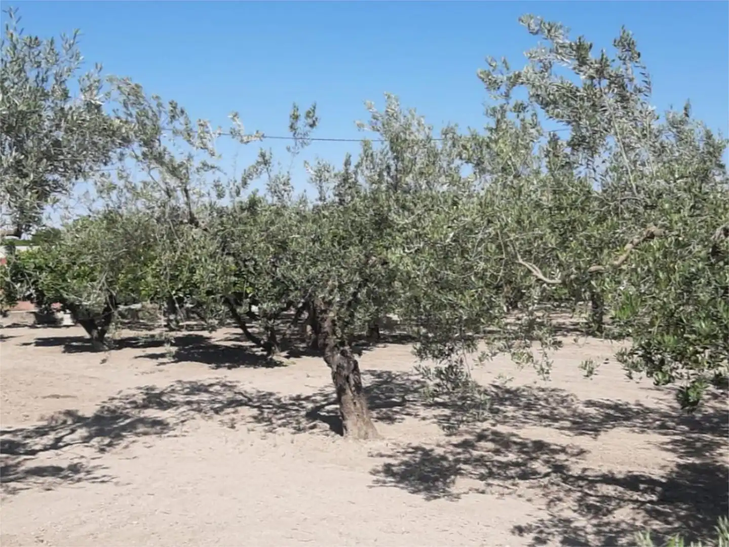 Finca rústica en venda a Plaça Numero 16, 519, El Llombo Finca rústica en venda en Ontinyent