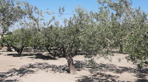 Photo 2 of Country house for sale in Plaça Numero 16, 519, El Llombo, Valencia