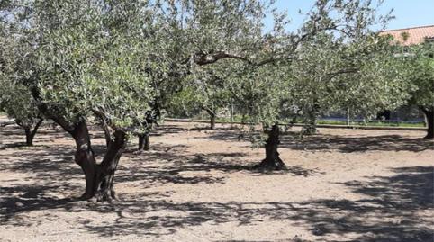 Photo 3 of Country house for sale in Plaça Numero 16, 519, El Llombo, Valencia