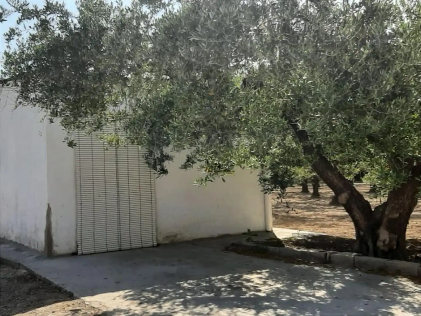 Finca rústica en venda a Plaça Numero 16, 519, El Llombo Jardí de Finca rústica en venda en Ontinyent