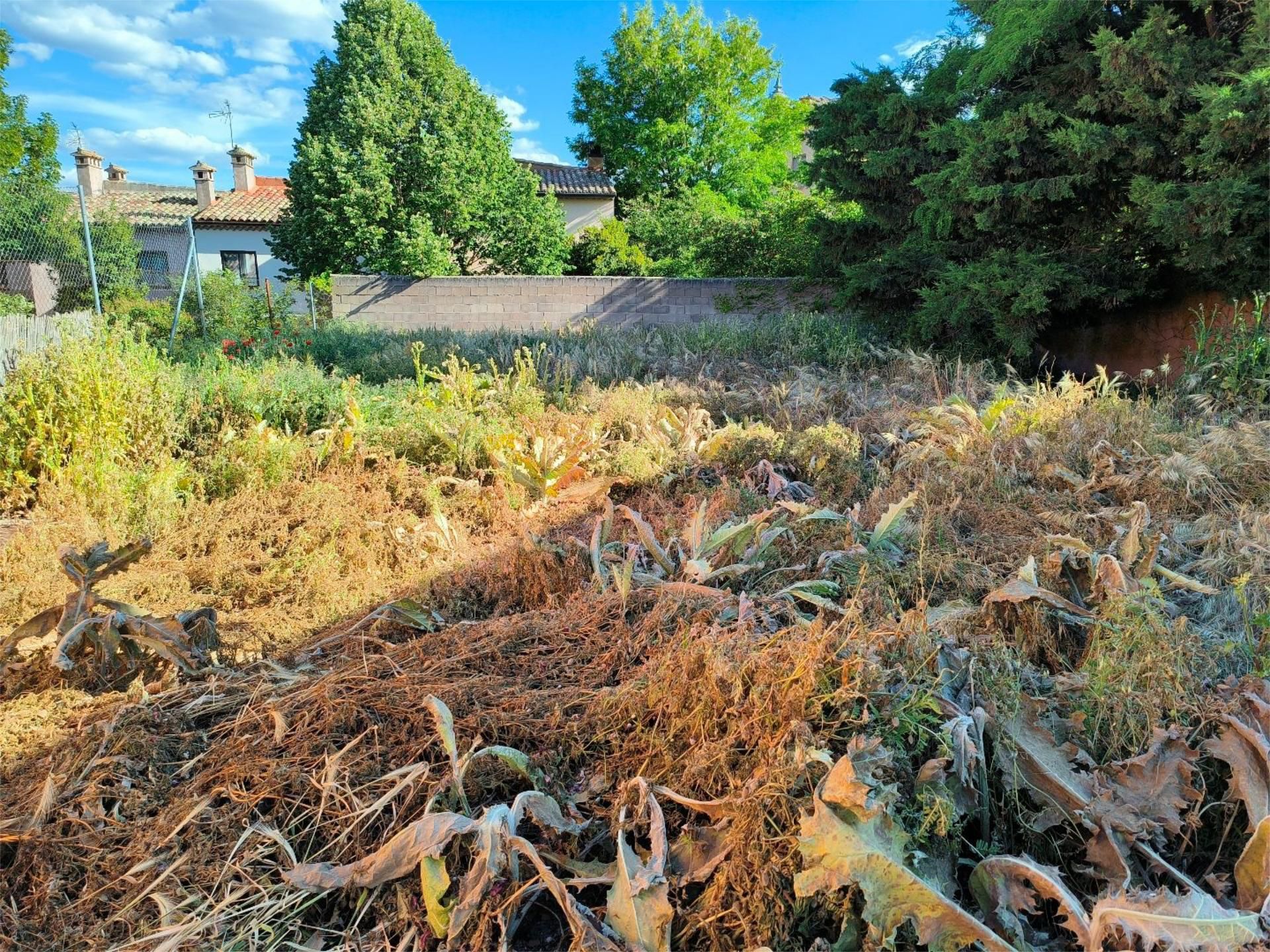 Garden of Constructible Land for sale in Medinaceli