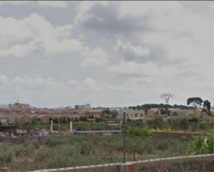 Constructible Land for sale in Bétera