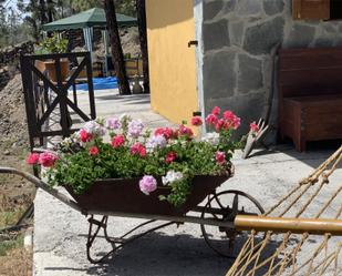 Garden of House or chalet to rent in Guía de Isora