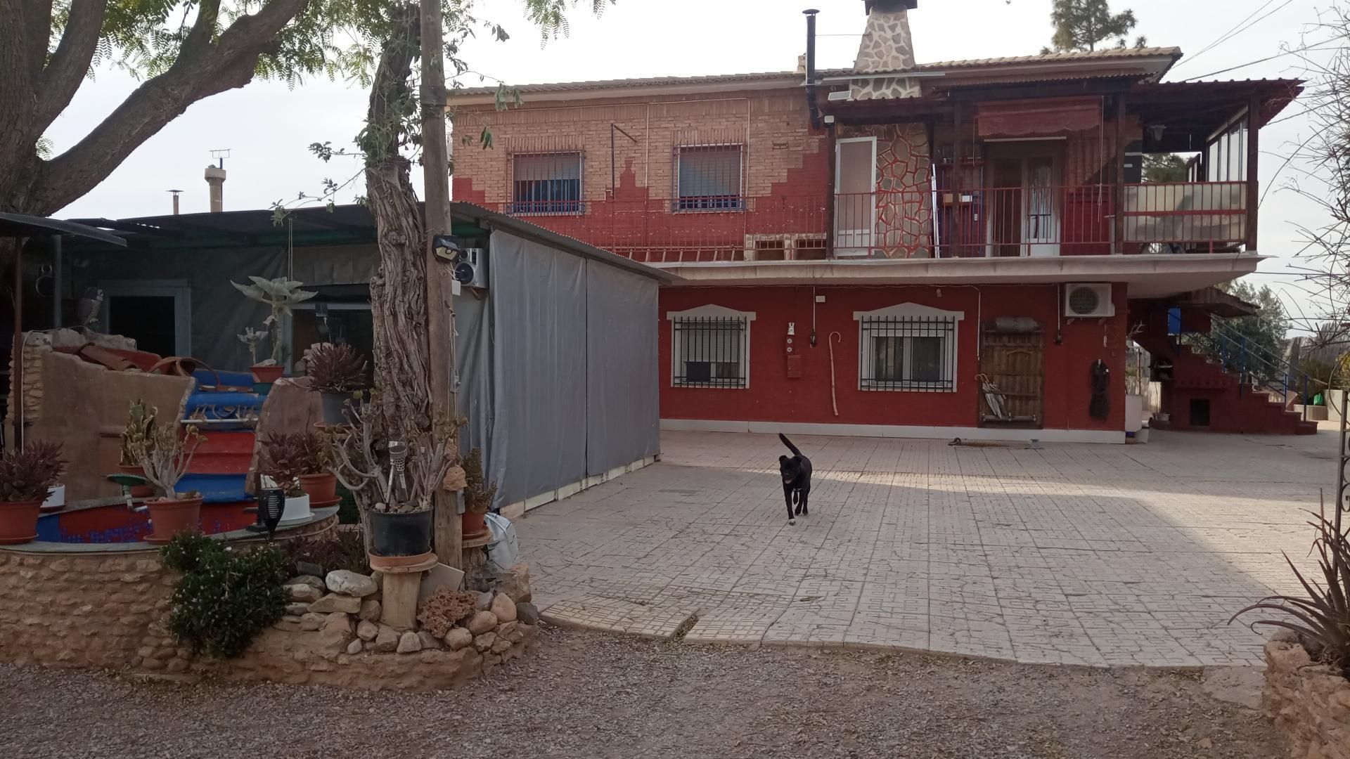 Vista exterior de Casa o xalet en venda en  Murcia Capital amb Aire condicionat, Jardí privat i Terrassa