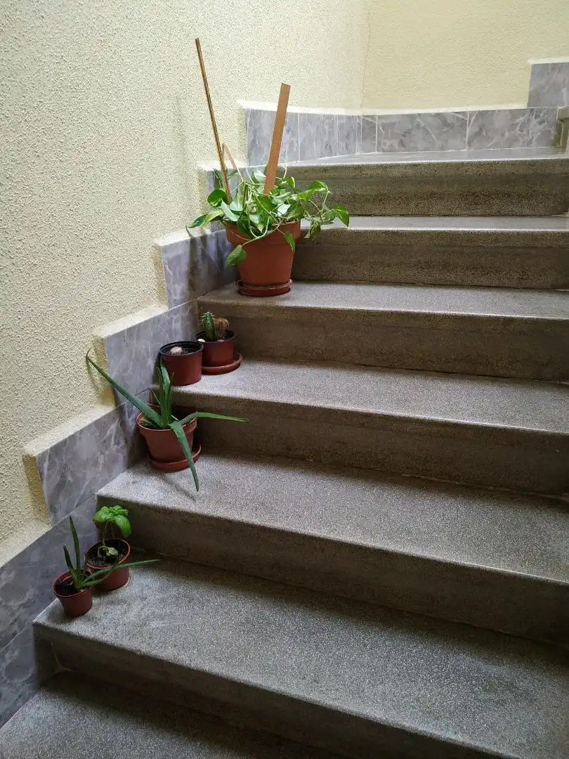 Terraza de Piso en venta en Roa