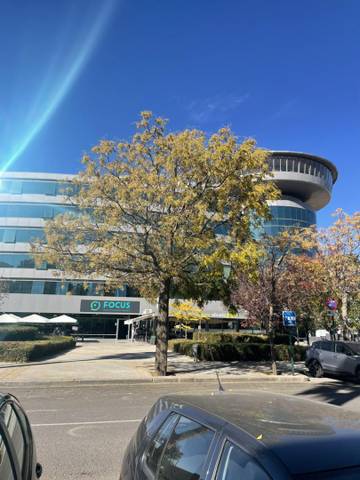 Garaje en Alquiler en Calle José Luis Pérez Pujadas, 8 en Parque Lagos