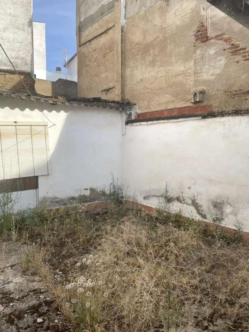 Planta baixa en venda a Calle Carmen, 14, Villafranca de los Barros Vista exterior de Planta baixa en venda en Villafranca de los Barros amb Aire condicionat i Jardí privat