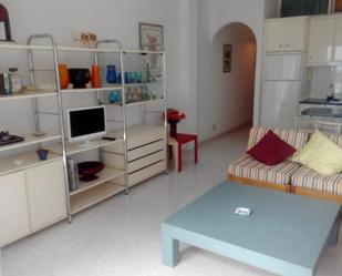 Sala d'estar de Apartament de lloguer en Las Palmas de Gran Canaria amb Terrassa i Balcó