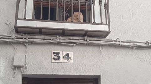 Photo 3 of Single-family semi-detached for sale in Calle Condesa Carmen Pizarro, 28, Centro, Lucena