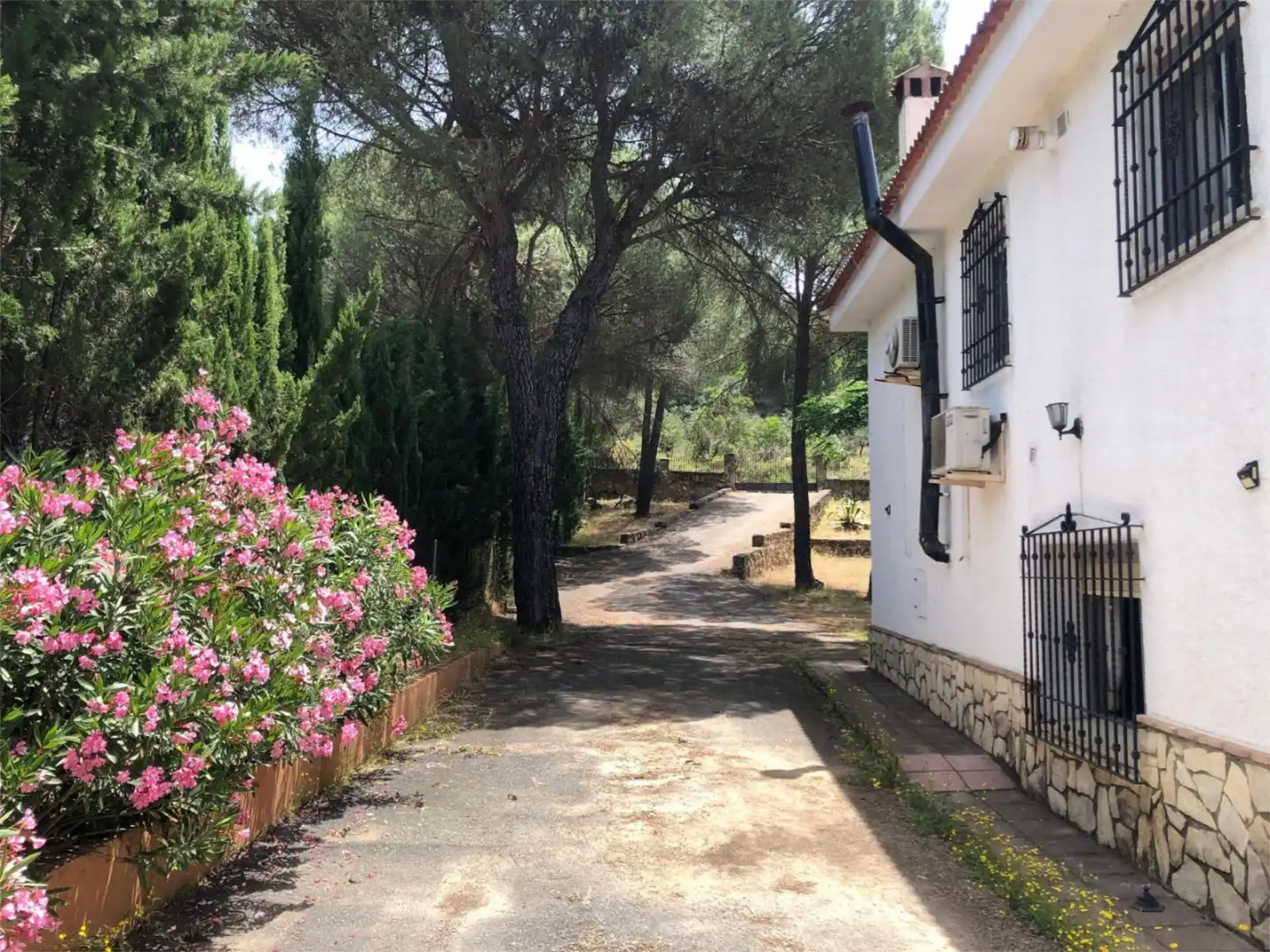 Casa o chalet de alquiler en Avenida las Palomas, 14, Las Jaras Casa o chalet de alquiler en Avenida las Palomas, 14, Las Jaras