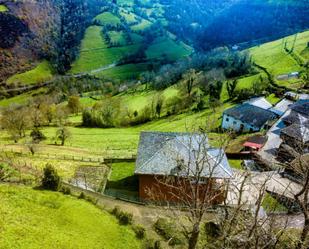 Vista exterior de Pis en venda en Cangas del Narcea amb Terrassa, Piscina i Balcó