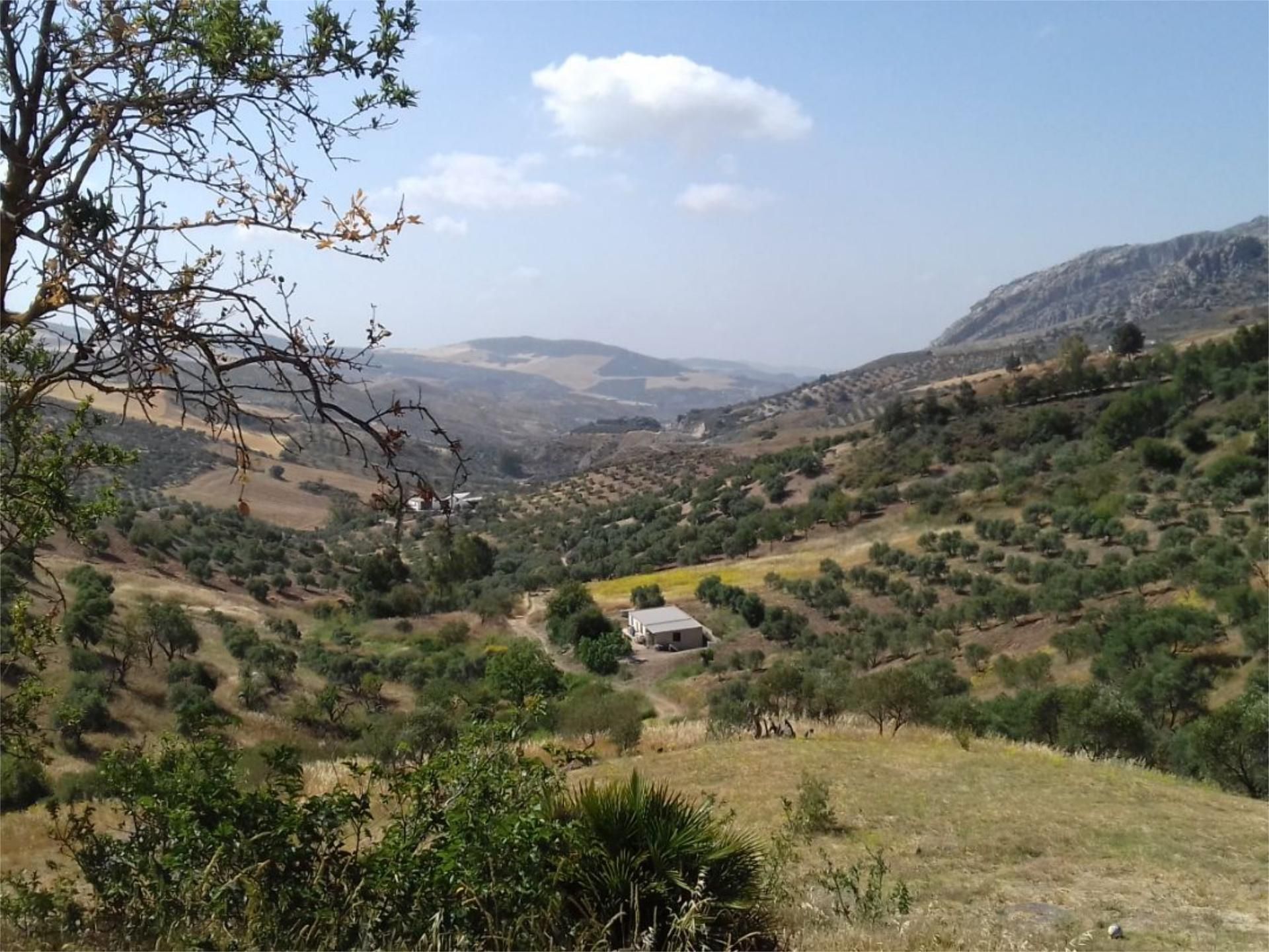 Garten von Grundstücke zum verkauf in Valle de Abdalajís
