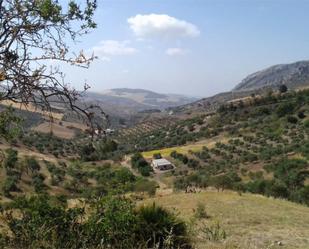 Garden of Land for sale in Valle de Abdalajís