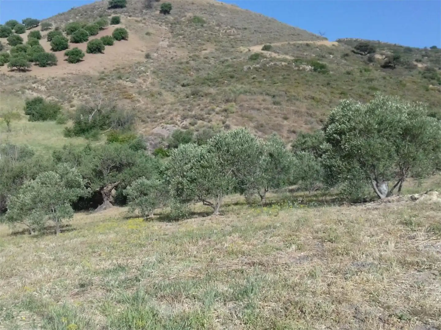Land for sale in Calle Francia, 11, Valle de Abdalajís Land for sale in Valle de Abdalajís