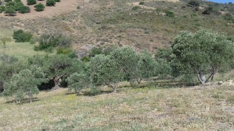 Foto 3 de Terreno en venta en Calle Francia, 11, Valle de Abdalajís, Málaga