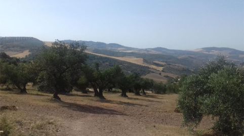 Foto 4 de Terreno en venta en Calle Francia, 11, Valle de Abdalajís, Málaga