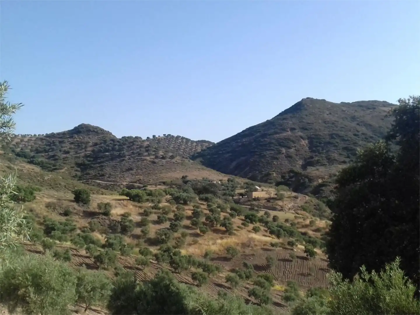 Land for sale in Calle Francia, 11, Valle de Abdalajís Land for sale in Valle de Abdalajís