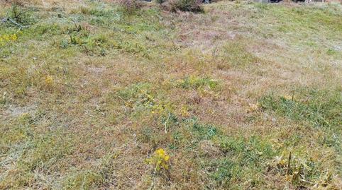 Foto 2 de Terreno en venta en Calle el Quejigo, 158, El Casar, Guadalajara