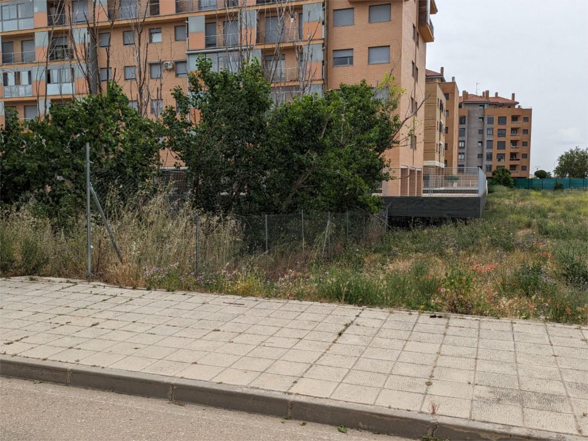 Land for sale in Zamora Capital 