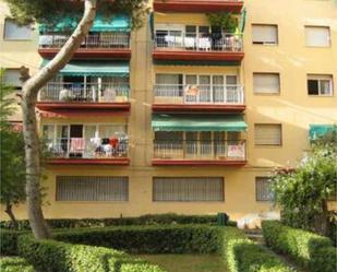 Flat to rent in Benidorm