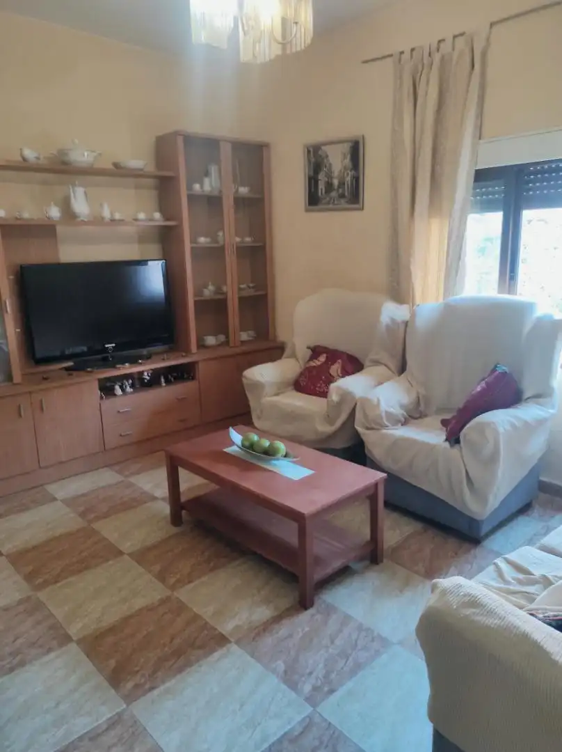 Living room of Detached homes for sale in Higuera de la Serena  with Air Conditioner, Private garden and Terrace