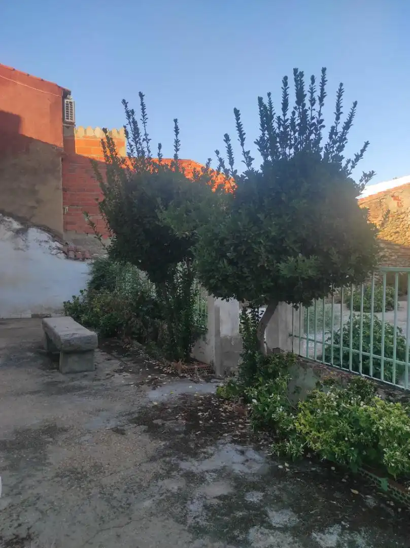 Garden of Detached homes for sale in Higuera de la Serena  with Air Conditioner, Private garden and Terrace