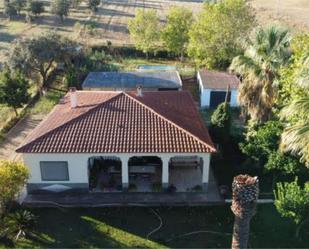 Vista exterior de Finca rústica en venda en Badajoz Capital amb Aire condicionat, Jardí privat i Piscina