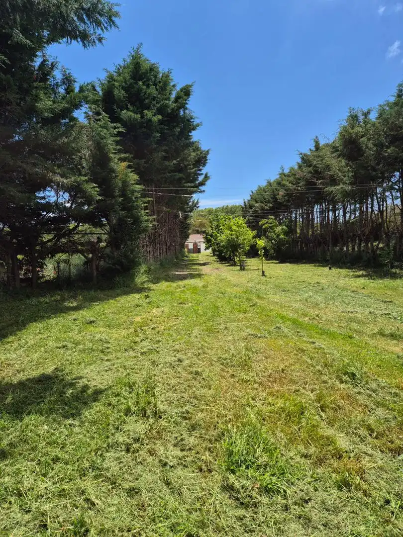Finca rústica en venta en Urbanización Río Arlanzón M1, 5, Cardeñajimeno Finca rústica en venta en Cardeñajimeno