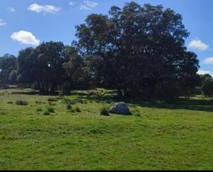 Finca rústica en venda en Navas de San Antonio