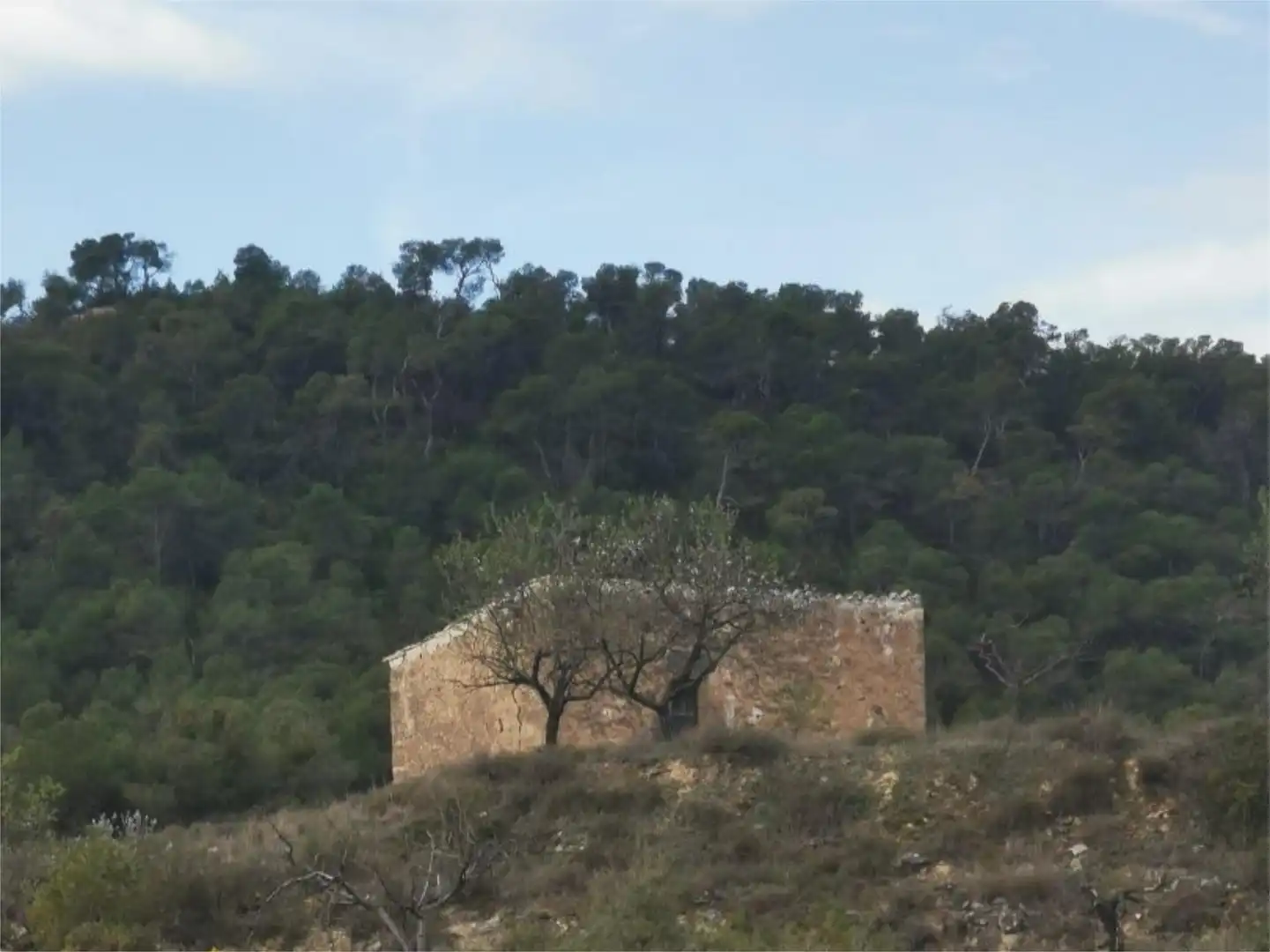 Vista exterior de Finca rústica en venda en Nonaspe