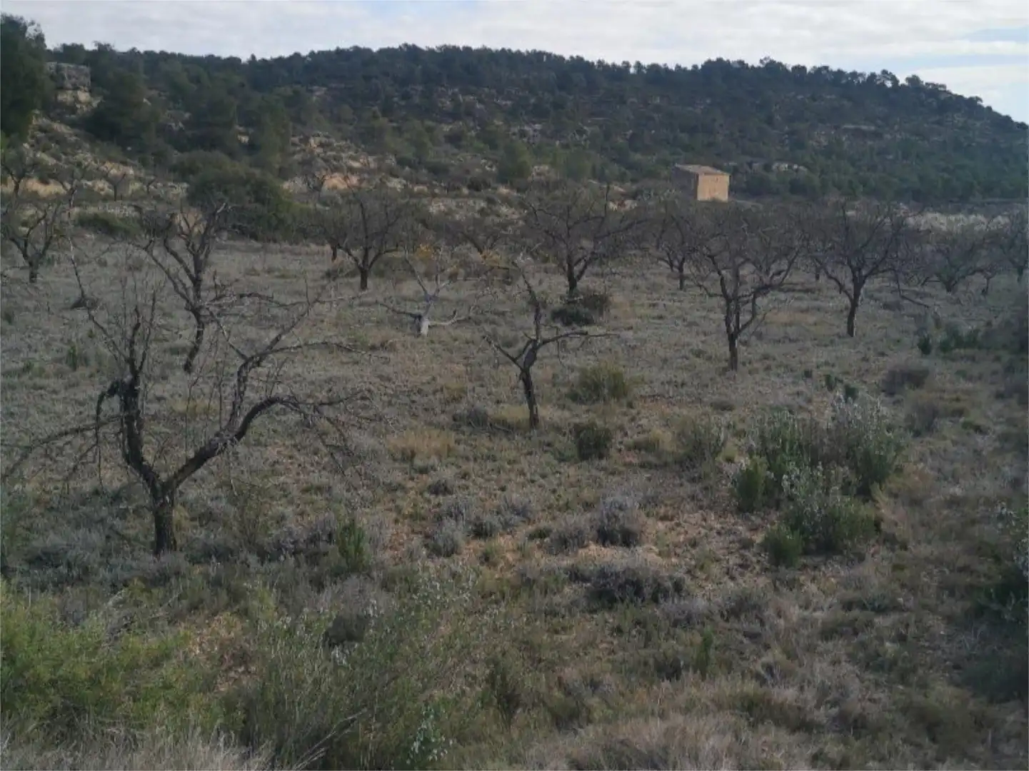 Finca rústica en venda en Nonaspe