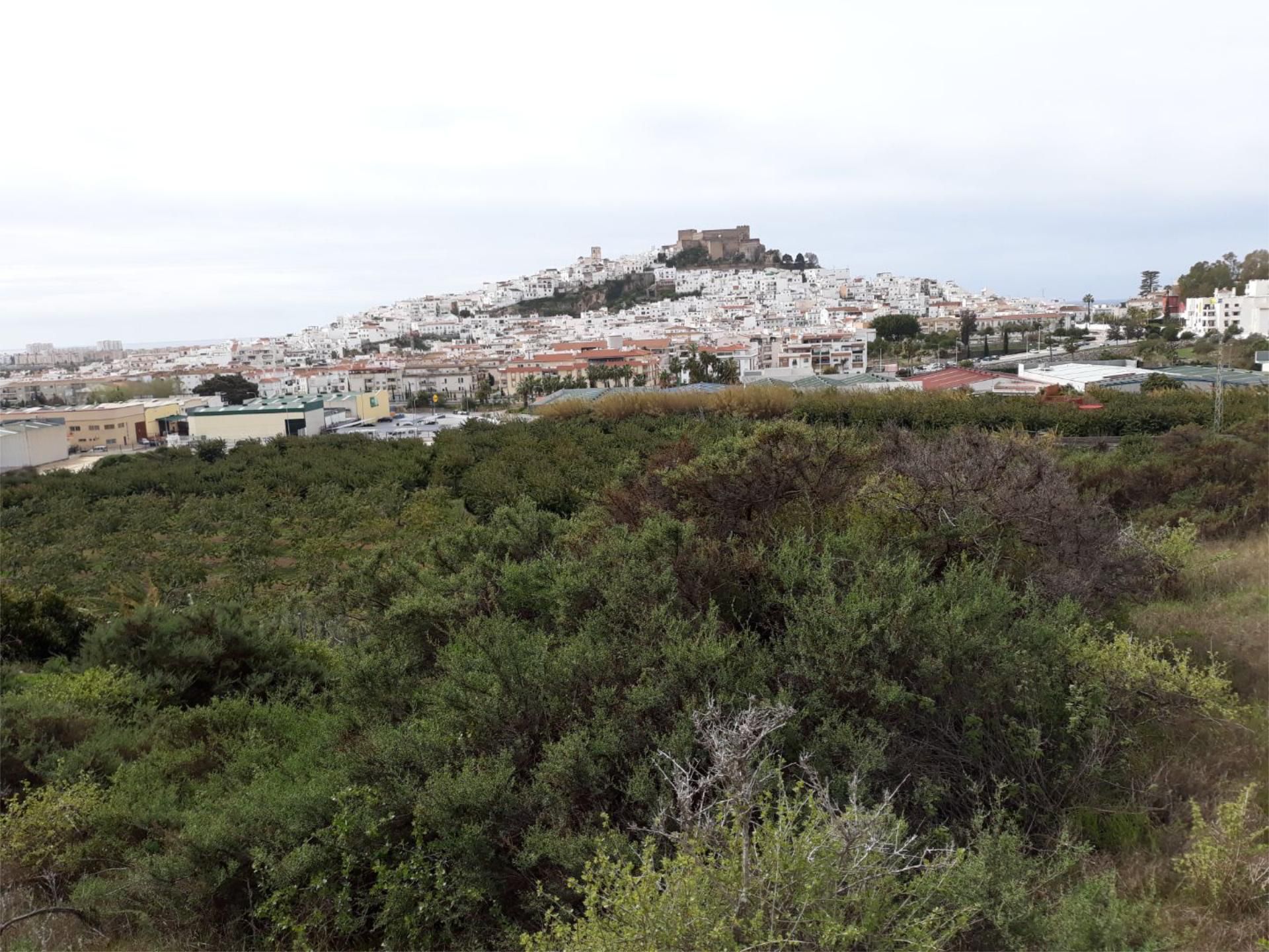 Exterior view of Land for sale in Salobreña