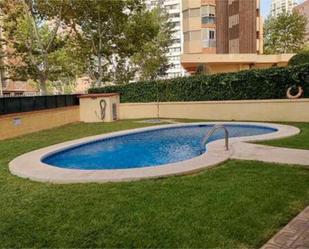 Swimming pool of Flat to rent in Benidorm  with Swimming Pool