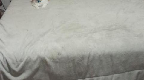 Foto 4 de Casa adosada en venda a Calle Nueva, 12, Escañuela, Jaén