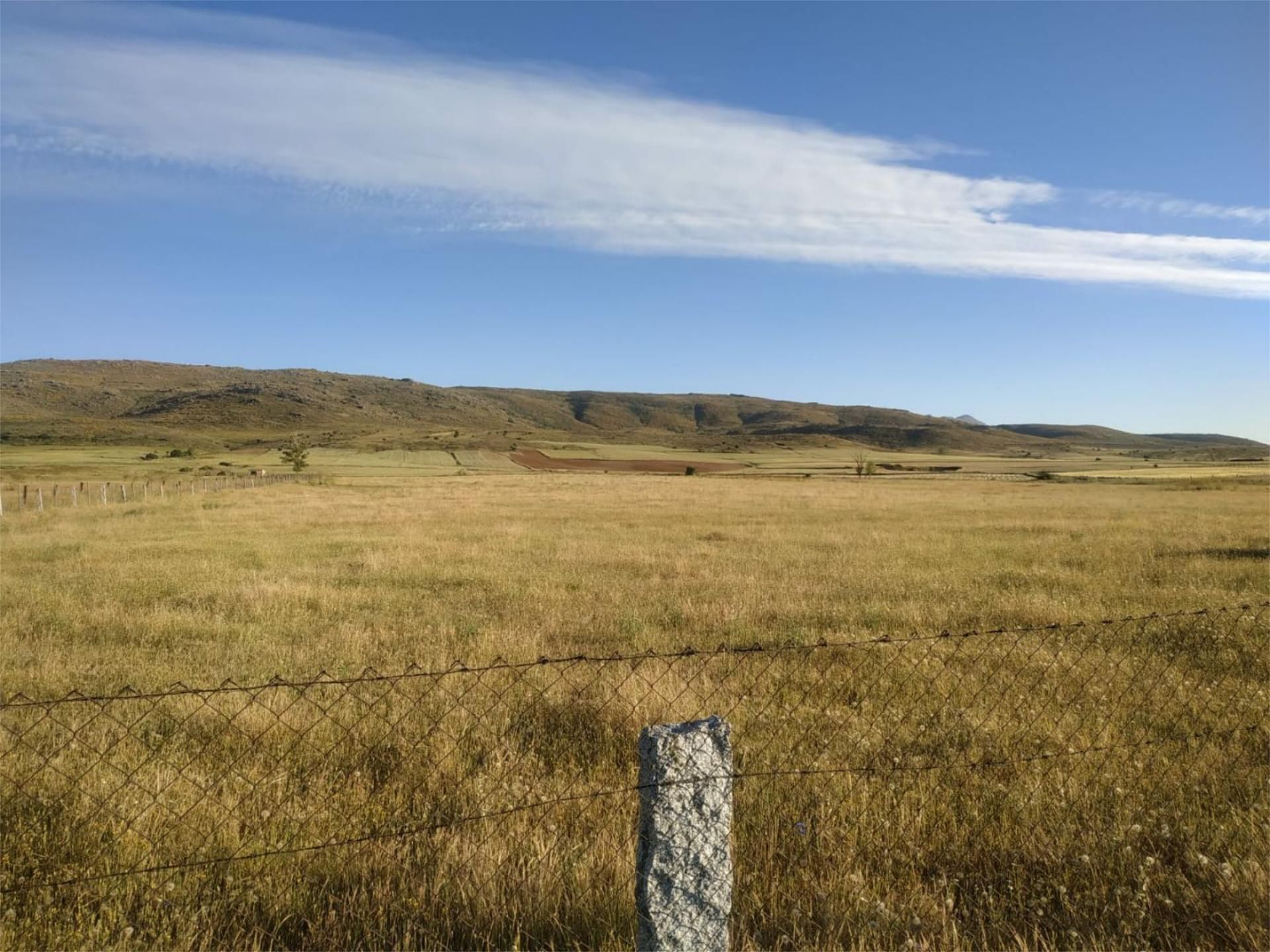 Land for sale in Gemuño