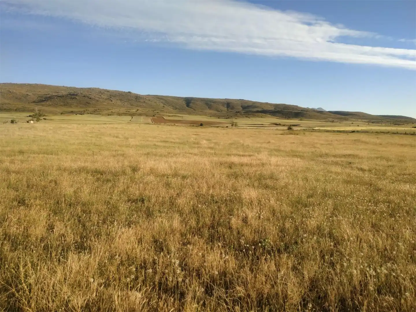 Terreno en venta en Gemuño